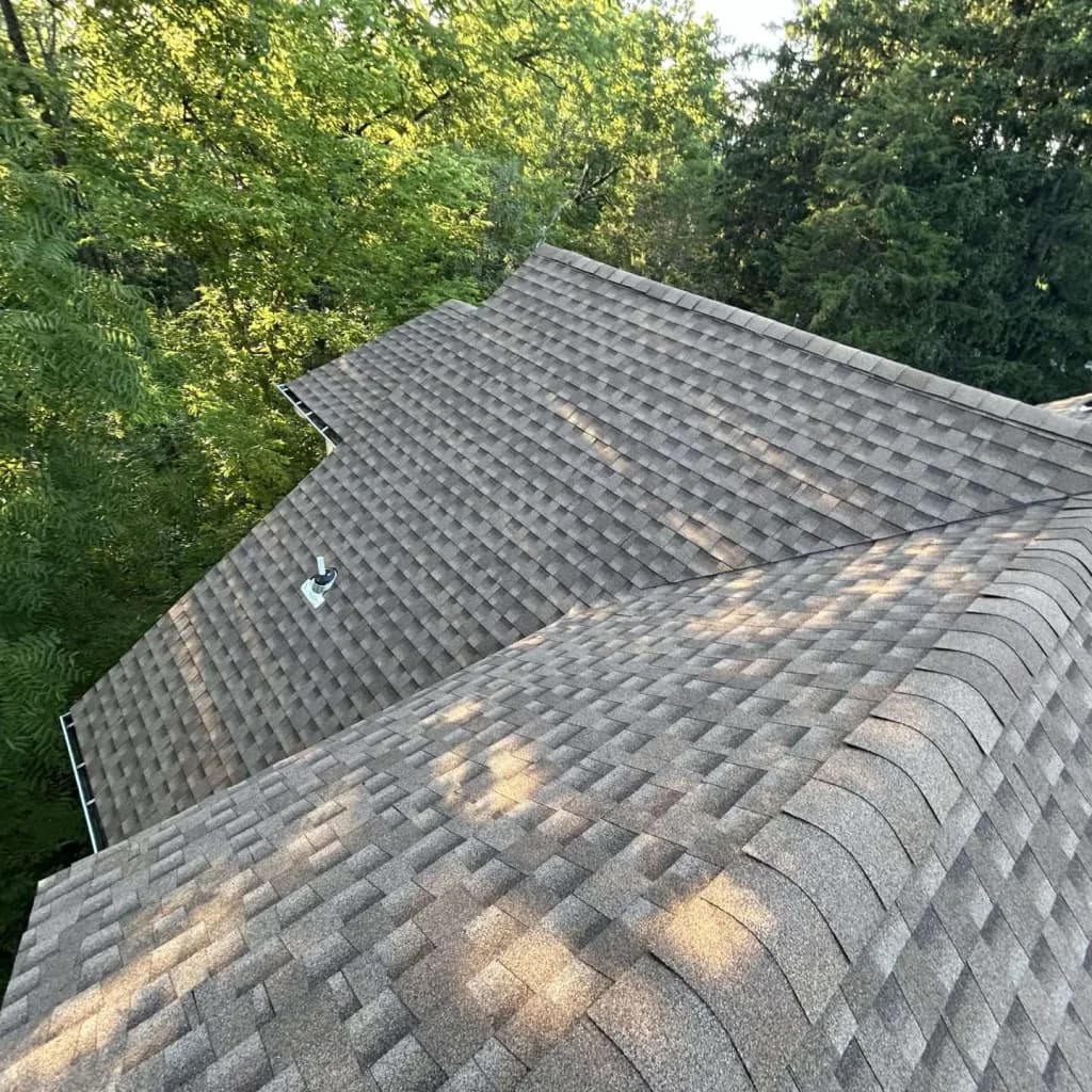Gray asphalt shingle roof with intersecting ridges beside trees